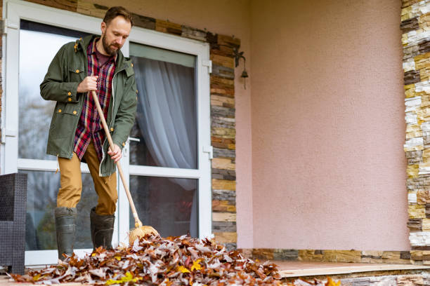 Best Junk Removal Near Me  in Plainwell, MI